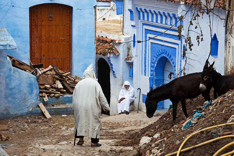  On the way to the Friday prayer   Chefchaouen (Chaouen)   Morocco